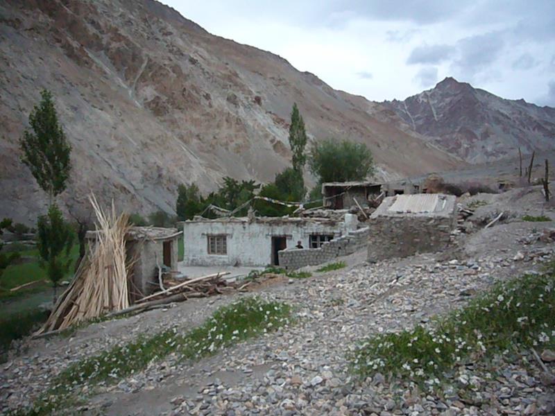Travel - India - Ladakh - Hemes National Park - Kaya Village - Around village Kaya